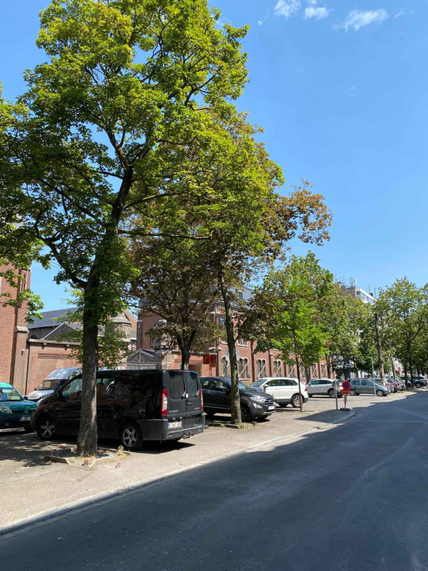 Sweet Home Lieja Exterior foto